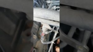 Трубка топливная ямз 534