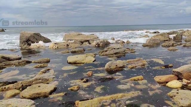 Rediffusion 9 mai 2021 Pêche au leurre en bord de mer : Magnifique смотреть онлайн