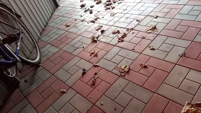 ХАДО в МКПП КИА РИО 3, МОЙ ОТЗЫВ смотреть онлайн
