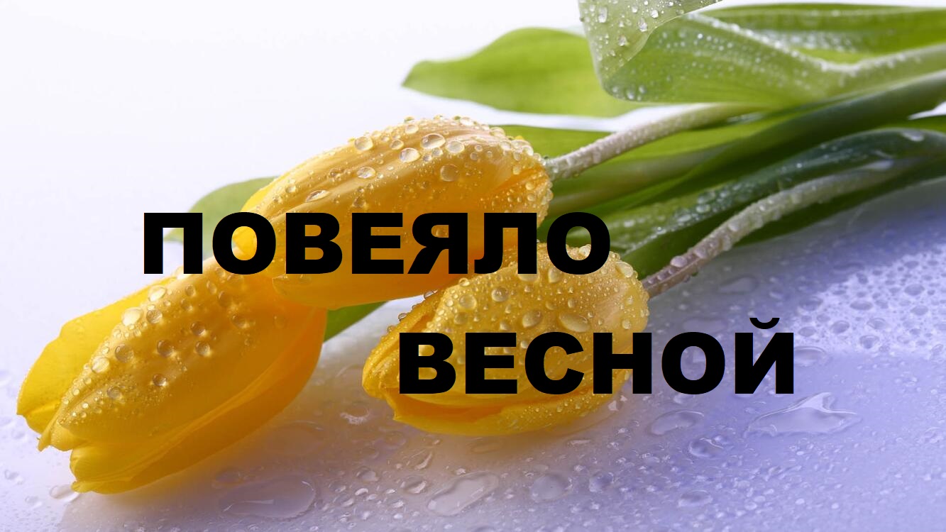 Новая выкройка сумки.Витражи.Переработка лоскутков.(2023г) смотреть онлайн