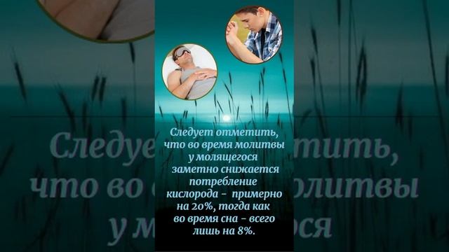 Молитва - влияние на организм человека. смотреть онлайн