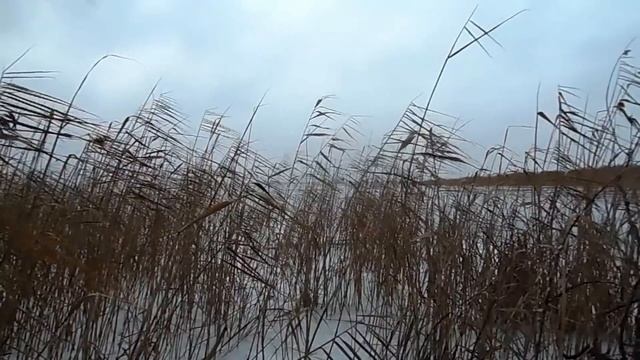 30 декабря - ДЕНЬ ПРОРОКА ДАНИИЛА. ВЕЩИЕ СНЫ. СОВЕТЫ ВАНГИ . народные приметы и традиции смотреть онлайн