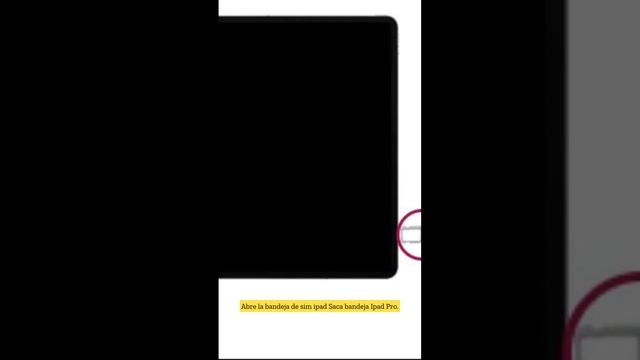 Los siguientes pasos describen cómo insertar una Tarjeta SIM en el Apple iPad смотреть онлайн