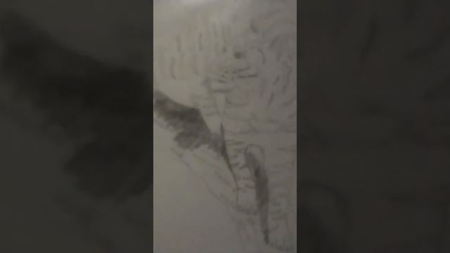 Мо5 второе видео о рисунке гепарда смотреть онлайн