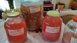 Яблочный уксус. Уксусная матка.