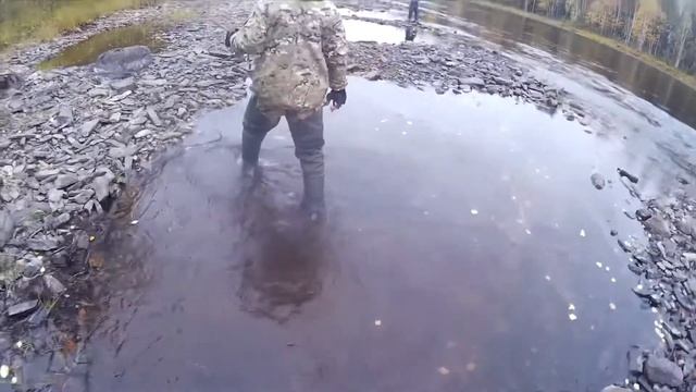 Сегозерское водохранилище.Карелия,октябрь 2018. смотреть онлайн