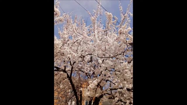 Весна Закончилась смотреть онлайн