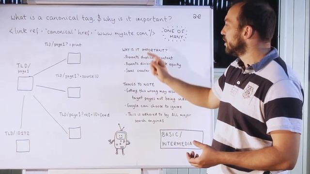 What is a canonical tag? #SEOTips смотреть онлайн