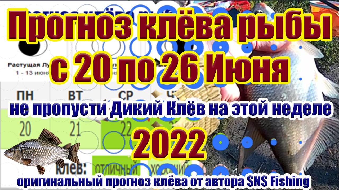 Прогноз клева рыбы на эту неделю с 20 по 26 Июня Календарь рыбака на июнь Календарь клева рыбы.mp4 смотреть онлайн
