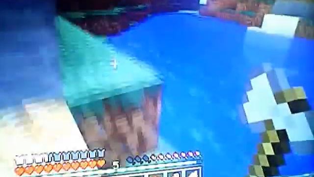 The Minecraft Adventure 4