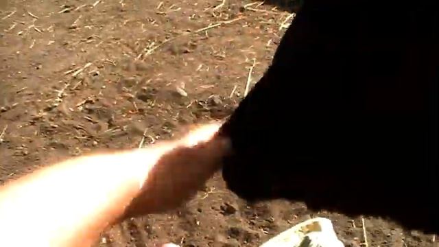УРА!!! Начали постройку коровника, сено привезли. смотреть онлайн