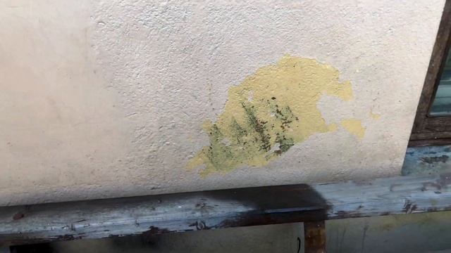 KRANZLE PROFI 195 TS T тест