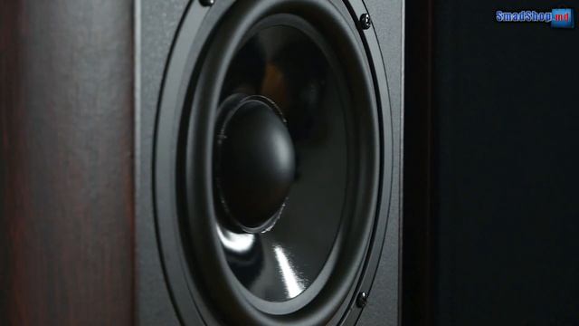 Колонки Sven Stream Mega R - видео обзор смотреть онлайн