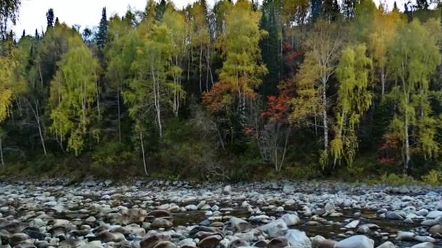 Сентябрь в Риддере Ю Болденков смотреть онлайн