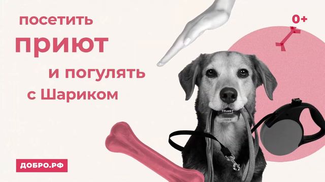 Сделать доброе дело смотреть онлайн