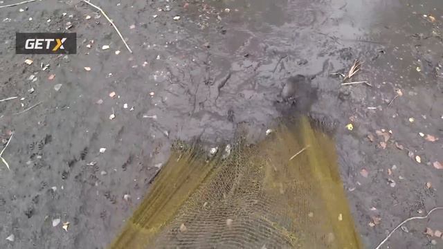 2 Огромных ТОЛСТОЛОБА на КАСТИНГОВУЮ сеть .Рыбалка по брошенным прудам смотреть онлайн