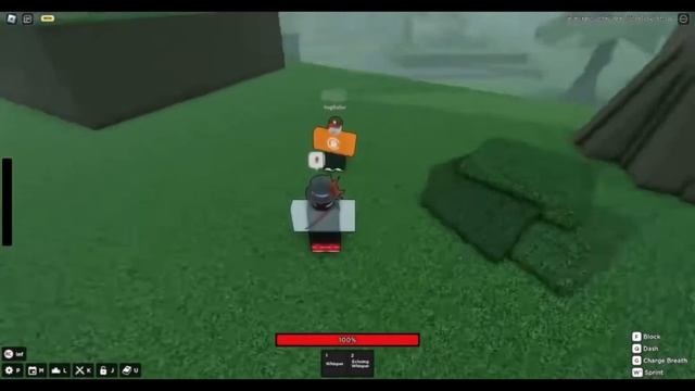 New dream bda sneak peek!!! | roblox rogue demon смотреть онлайн