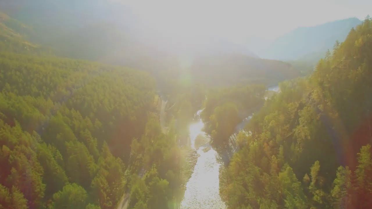 Славянская ведическая музыка из глубины веков - Эй вы, калики - Музыка на частоте счастья. Гусли. смотреть онлайн