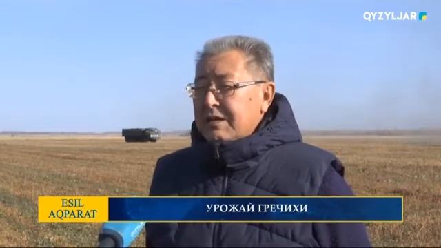 УРОЖАЙ ГРЕЧИХИ смотреть онлайн
