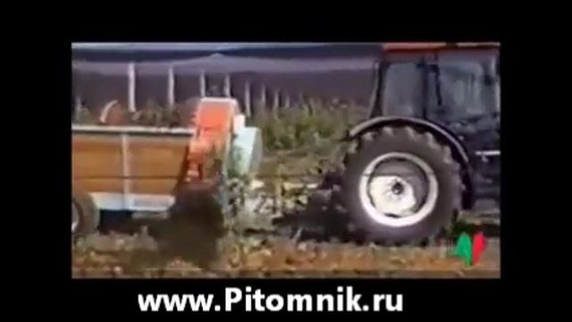 внесение навоза, перегноя в садах, виноградниках, навозоразбрасыватели, распределители удобрений смотреть онлайн