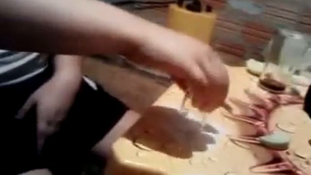 V2040 21 04 11 смотреть онлайн