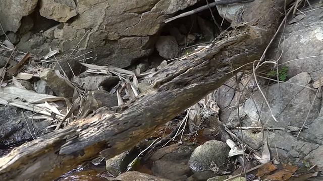 Relaxing Fishing, Smoked Fish, Survival Shelter: Survival Alone | EP.220 смотреть онлайн