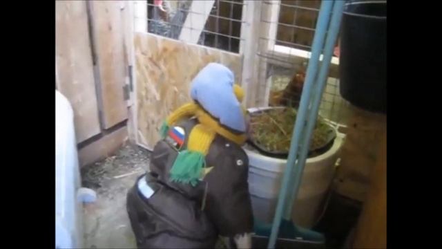 Обезьяна в деревне - помощник в хозяйстве смотреть онлайн