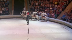 Тайны изумрудного города. Цирковая сказка. 1 июня.