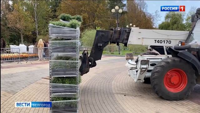 Более 80 садов украсят улицы Белгорода смотреть онлайн