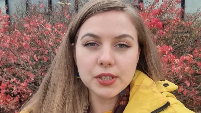Водійське посвідчення. Заміна українського. Ньюфаундленд. CUAET. смотреть онлайн