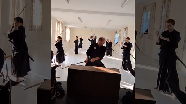 Kamae , fluid transitional movement between them смотреть онлайн
