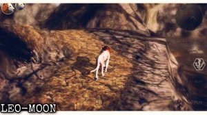 |LEO - MOON| - ОБЗОР - ОБНОВЛЕНИЯ В ИГРЕ Ultimate Lion Simulator 2 -