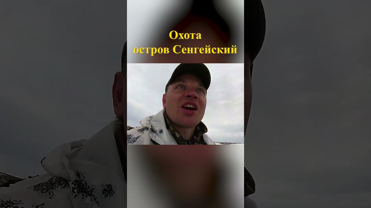 Охота на острове Сенгейский 10 #охотанагуся #охотавроссии смотреть онлайн