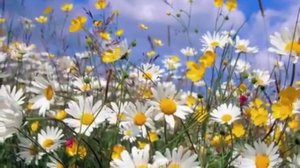 Ой, да ты, Россия..