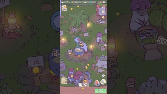 суп с котом