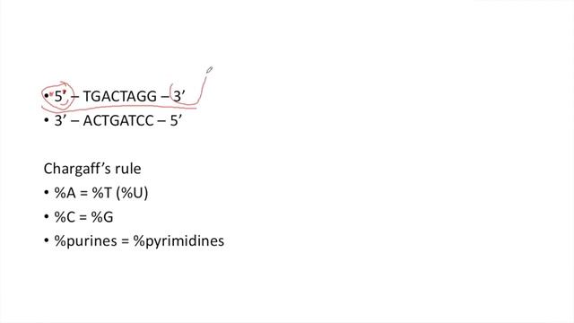 ДНК. Понятие и структура ДНК. Нуклеотиды | Самое простое объяснение | Биология и Биохимия смотреть онлайн