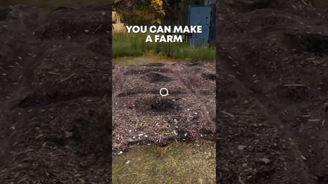 How To Find Food in DayZ 🍎 смотреть онлайн