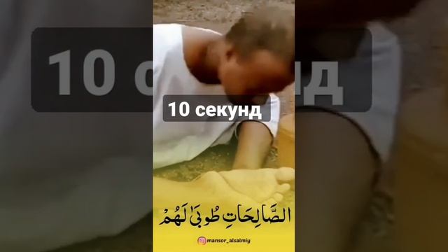 очень красивая читает Коран | безрука намоз читает | Мансоур Алсалми ??? смотреть онлайн