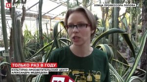 В Ботаническом саду этой ночью расцвел кактус «Царица ночи»