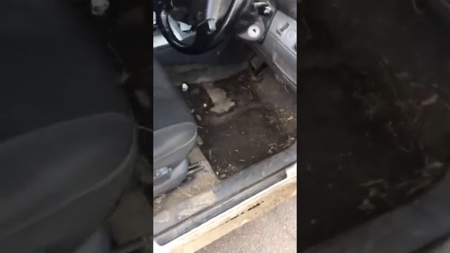 Самая чистая машина мира ! смотреть онлайн