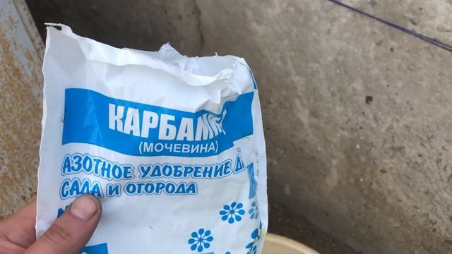 Золото ( ДОРОГИЕ ПЛАТЫ ) Gold ( EXPENSIVE BOARDS ) смотреть онлайн