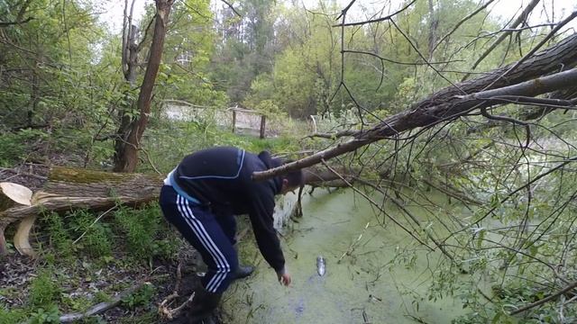 Уловистая ловушка на вьюна за 3 минуты смотреть онлайн