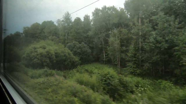 ЭД4М-0034, маршрут: Вязьма - Бородино / Train ED4M-0034, Route: Vyzhma - Borodino