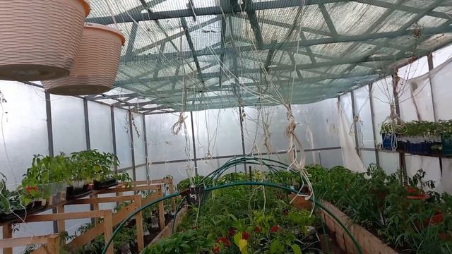 ХОЛОДА И ДОЖДИ ,ДОЖДИ . смотреть онлайн