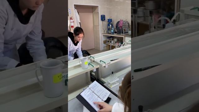 Видео визитка ДХН-009 на день СПО смотреть онлайн