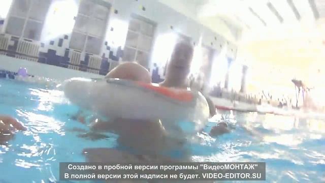 5 мес, плавает в бассейне