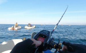 Рыбалка на терпуг пилкером Японское море 22.10.2021. Находка.