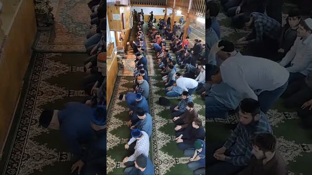 #READING THE#QURAN 4 Ночь#1444#Месяц #Рамадан.بسم الله الرحمن الرحيم Чтение#Коран Центральная#Мечет смотреть онлайн