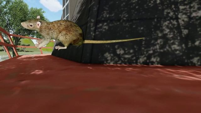 CAT GAMES l Cat game catch the mouse and fly | CAT TV | 10 min.(side view) смотреть онлайн