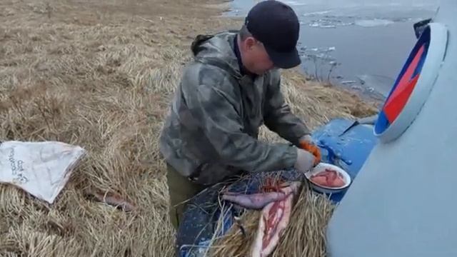 Щучья икра. смотреть онлайн